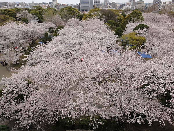 DSC00808.jpg DSC00808.jpg