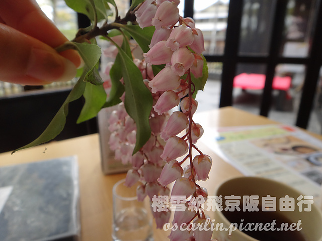 DSC04412.jpg DSC04412.jpg