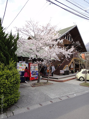 DSC02550.jpg DSC02550.jpg