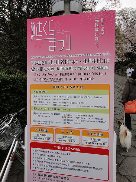 DSC00752.jpg DSC00752.jpg