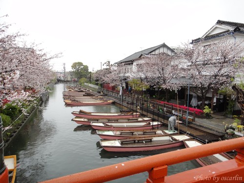 DSC01180.jpg DSC01180.jpg