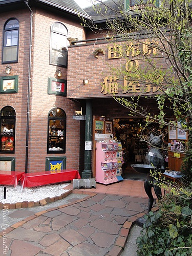 DSC02548.jpg DSC02548.jpg