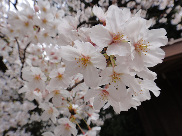 DSC00479.jpg DSC00479.jpg