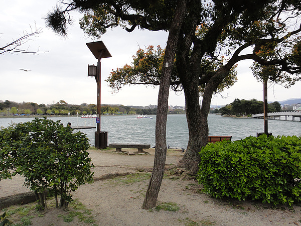 DSC00645.jpg DSC00645.jpg