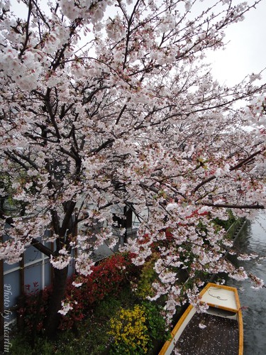 DSC01178.jpg DSC01178.jpg