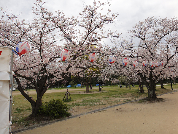 DSC00682.jpg DSC00682.jpg