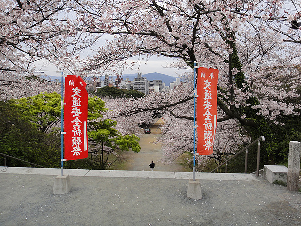 DSC00456.jpg DSC00456.jpg