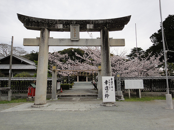 DSC00455.jpg DSC00455.jpg