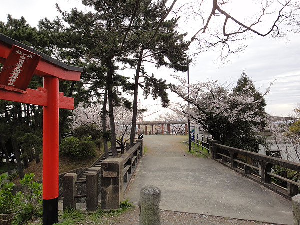 DSC00469.jpg DSC00469.jpg