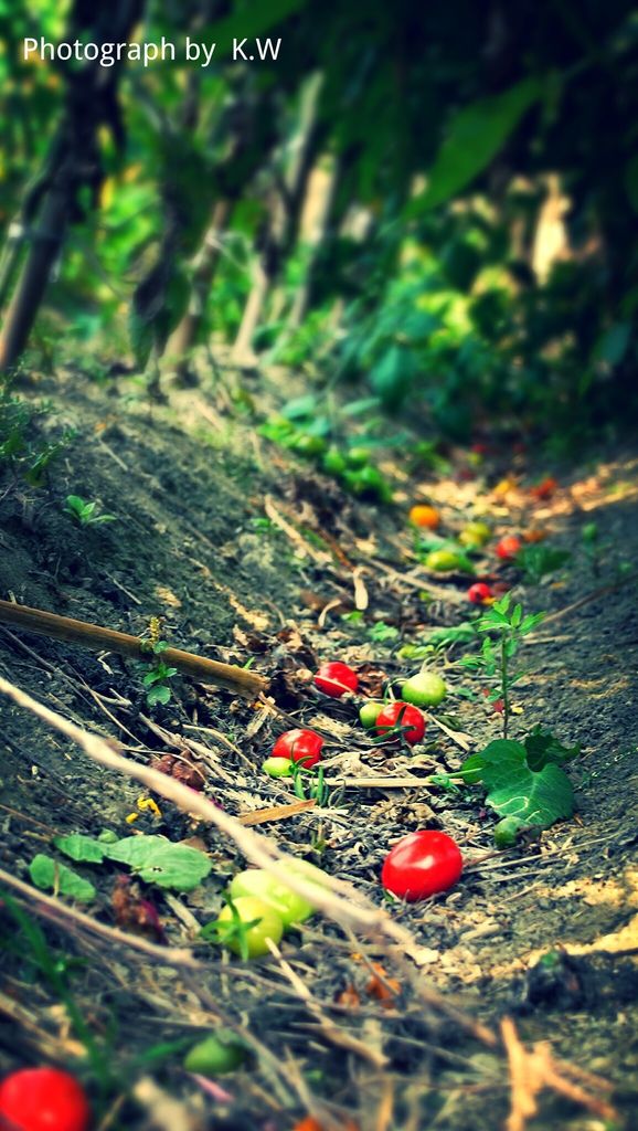 insPhoto_1393651109752