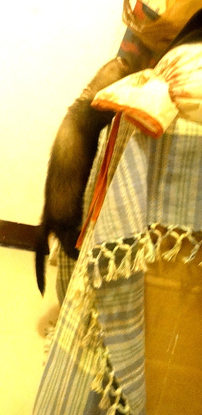 DSC03526.JPG DSC03526.JPG