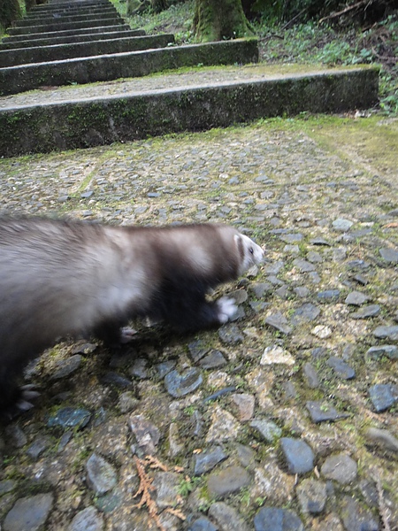 DSC04699.JPG DSC04699.JPG