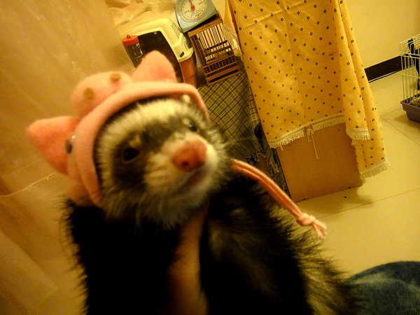 DSC04402.JPG DSC04402.JPG