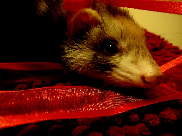 DSC04538.JPG DSC04538.JPG