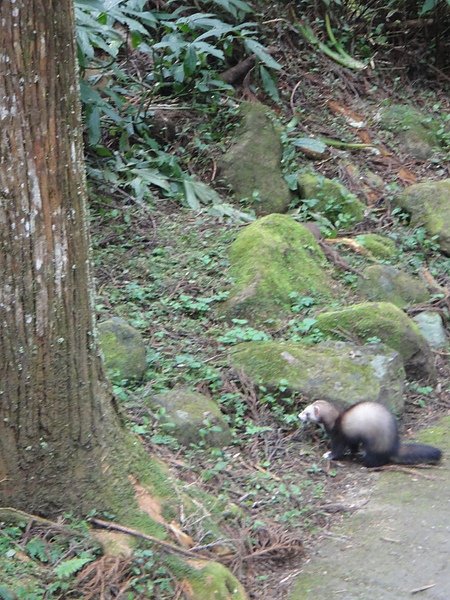 DSC04715.JPG DSC04715.JPG