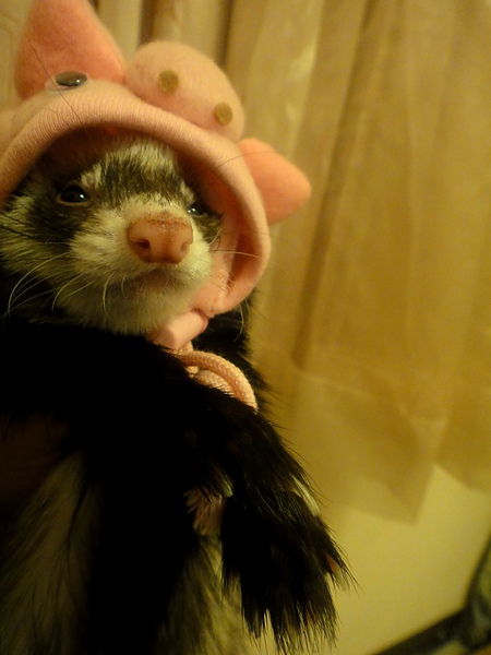 DSC04407.JPG DSC04407.JPG