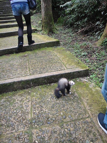 DSC04700.JPG DSC04700.JPG