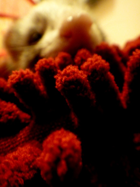 DSC04534.JPG DSC04534.JPG