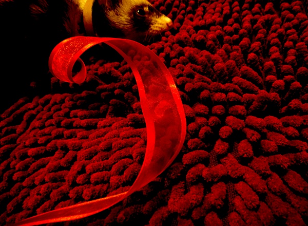 DSC04498.JPG DSC04498.JPG