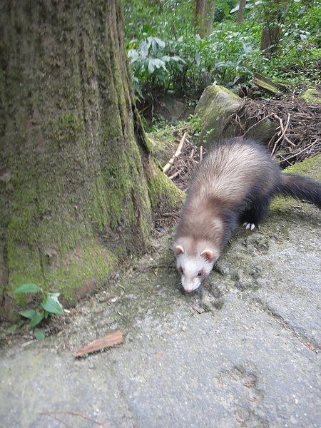 DSC04726.JPG DSC04726.JPG