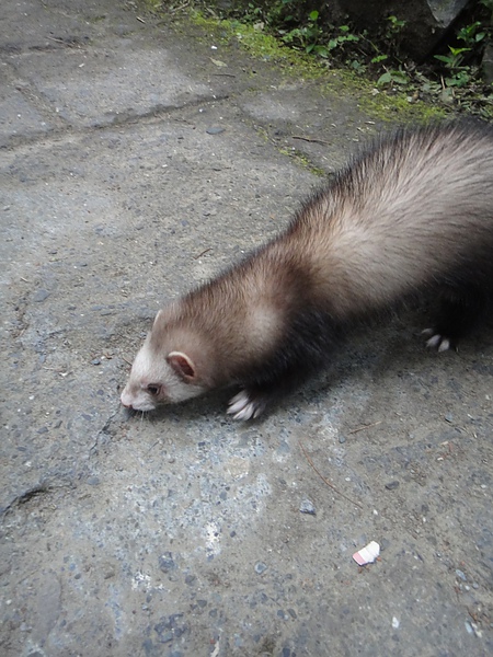 DSC04720.JPG DSC04720.JPG