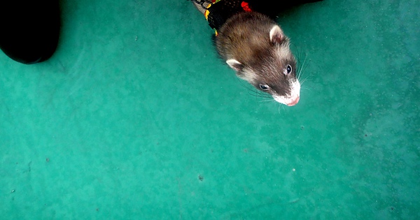 DSC03795.JPG DSC03795.JPG