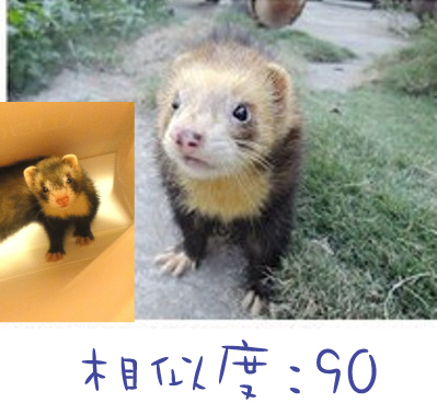 複製 -1285468898.jpg