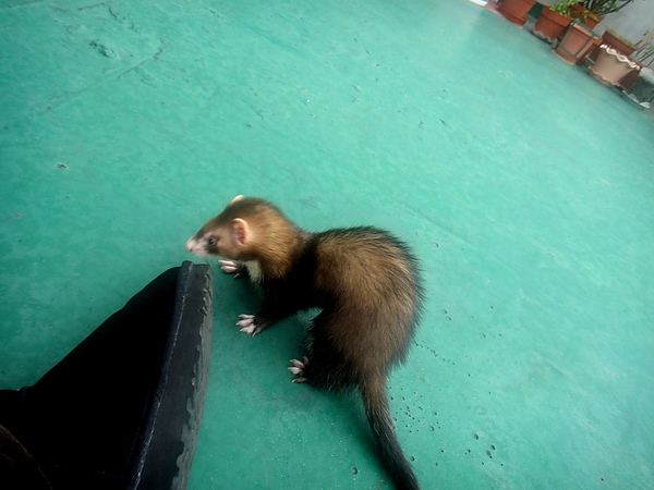 DSC03801.JPG DSC03801.JPG