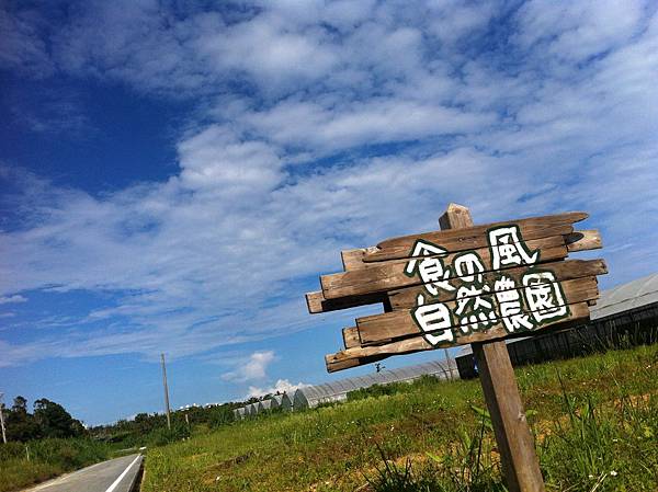 IMG_0319.JPG IMG_0319.JPG