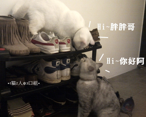 IMG_20120328_204535 IMG_20120328_204535