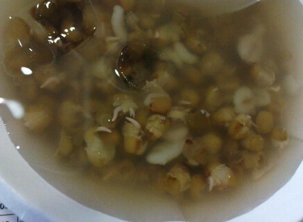 發芽綠豆.jpg