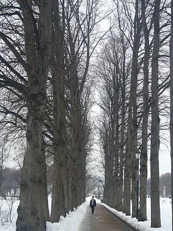 P1070892.JPG P1070892.JPG