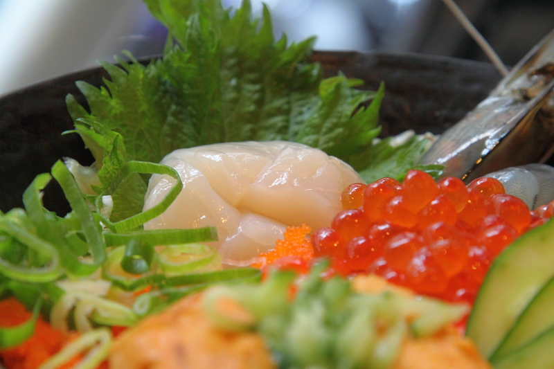 IMG_0254.JPG IMG_0254.JPG