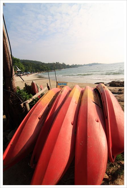 IMG_7786.jpg IMG_7786.jpg