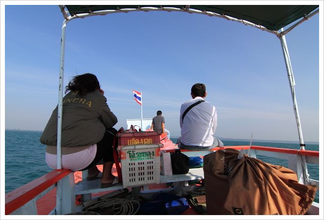 IMG_7830.jpg IMG_7830.jpg