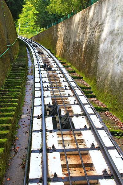 IMG_5309.jpg IMG_5309.jpg