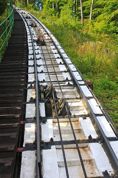 IMG_5311.jpg IMG_5311.jpg