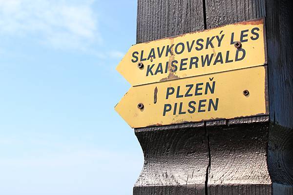 IMG_5355.jpg IMG_5355.jpg