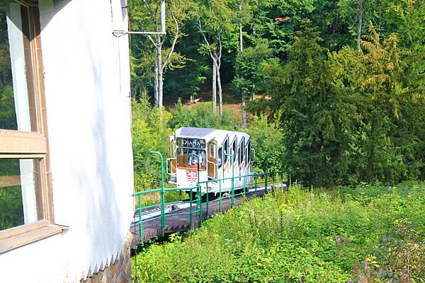 IMG_5406.jpg IMG_5406.jpg