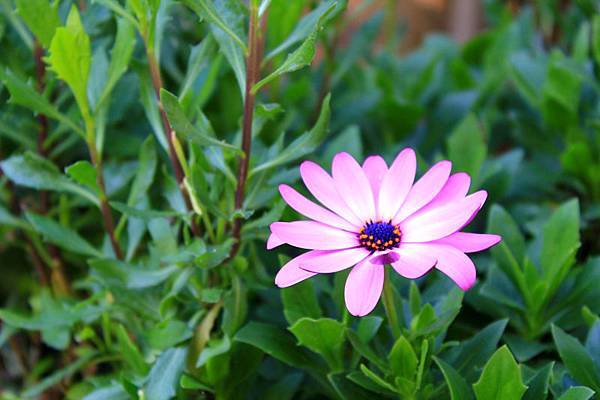 IMG_5422.jpg IMG_5422.jpg