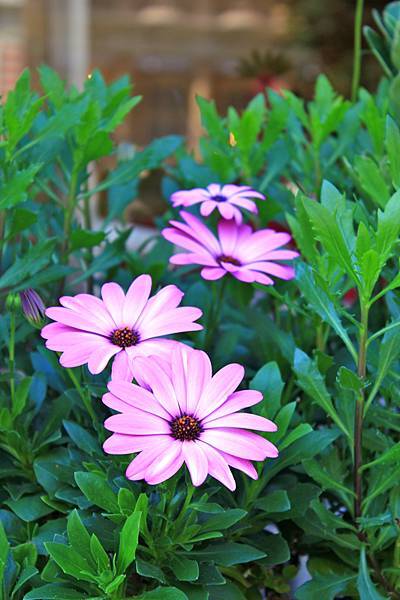 IMG_5423.jpg IMG_5423.jpg