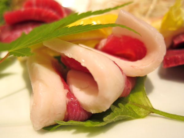 IMG_6252.jpg IMG_6252.jpg