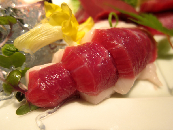 IMG_6254.jpg IMG_6254.jpg