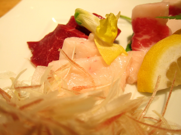 IMG_6255.jpg IMG_6255.jpg