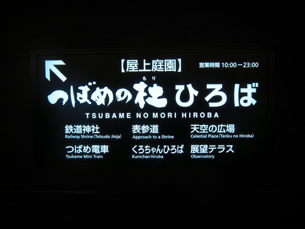 IMG_6313.jpg IMG_6313.jpg