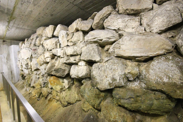 IMG_3290.jpg IMG_3290.jpg