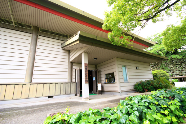 IMG_3305.jpg IMG_3305.jpg