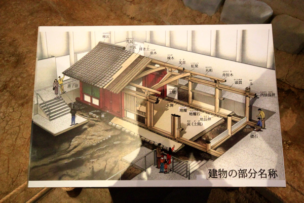 IMG_3309.jpg IMG_3309.jpg