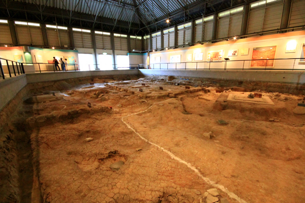 IMG_3311.jpg IMG_3311.jpg