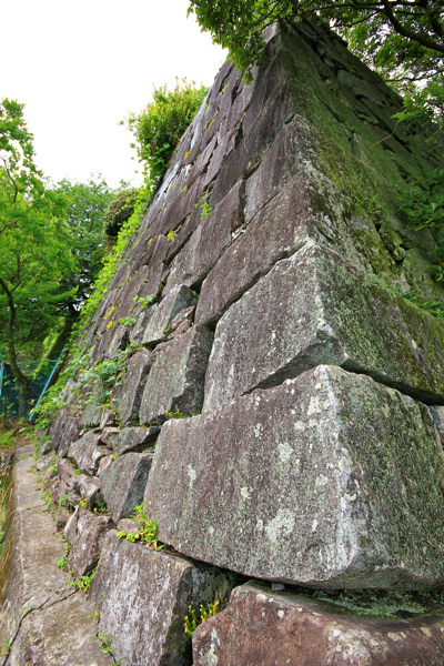 IMG_3335.jpg IMG_3335.jpg